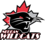 Nepean Wildcats
